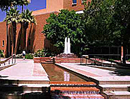 Arizona State University