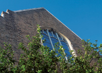 Top Law Schools