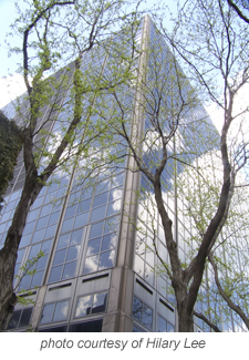 Northwestern Law